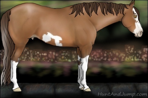 Horse Color:Gray Bay Pearl Splash Frame 