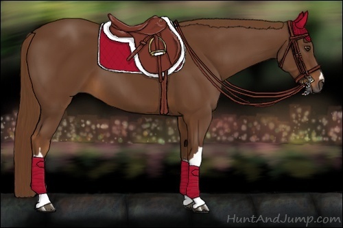 Horse Color:Gray Chestnut 