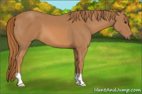 Horse Color:Unknown 