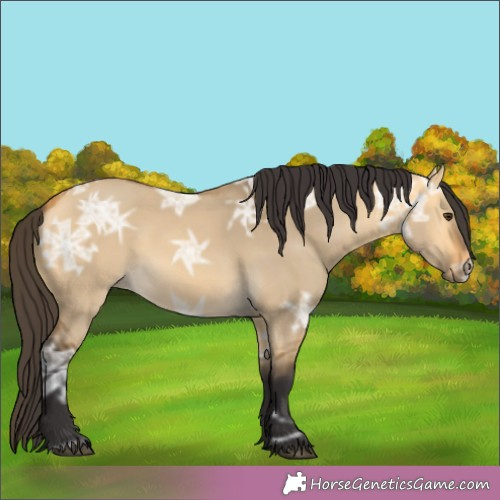 Horse Color:Buckskin Ice Dun 