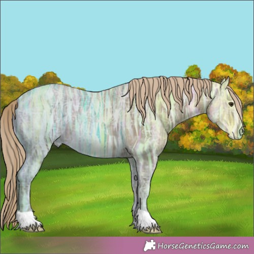 Horse Color:Chocolate Palomino Ice 