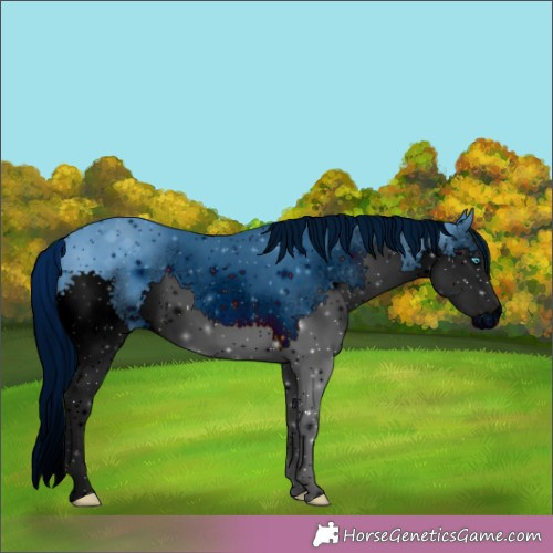 Horse Color:ERROR: UNKNOWN ANOMALY