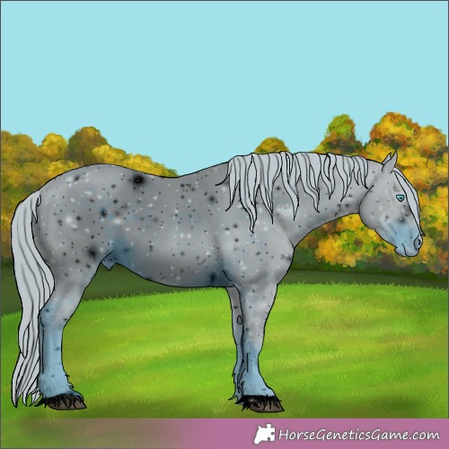 Horse Color:ERROR: UNKNOWN ANOMALY