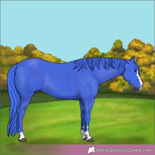 Horse Color:Watercolor Liver Chestnut 
