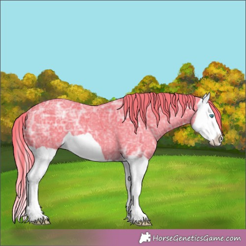 Horse Color:Watercolor Liver Chestnut Ice Splash 