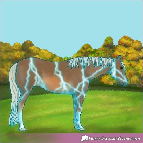 Horse Color:Thunderstruck Chocolate Palomino 