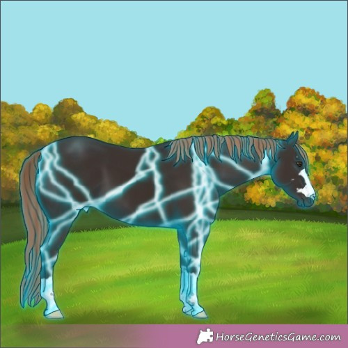 Horse Color:Thunderstruck Liver Chestnut 