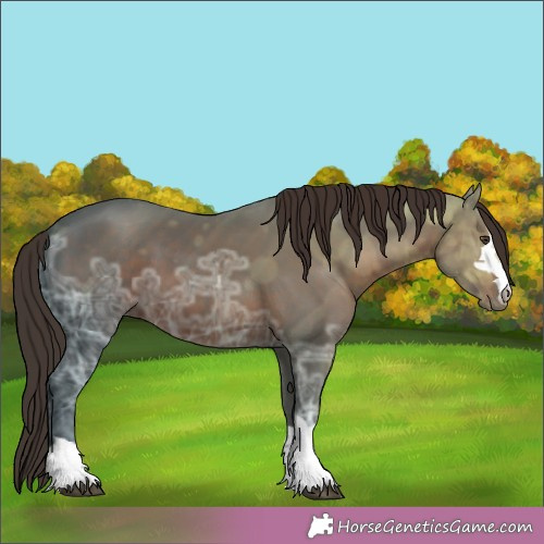 Horse Color:Liver Chestnut Ice 