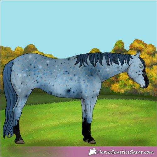 Horse Color:ERROR: UNKNOWN ANOMALY