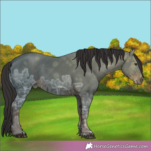 Horse Color:Liver Chestnut Ice 