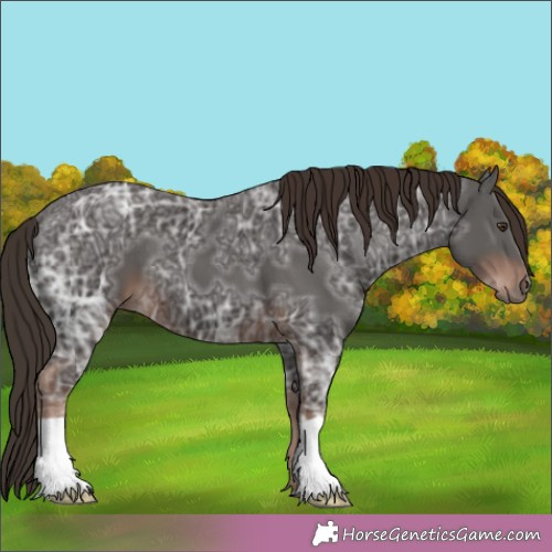 Horse Color:Liver Chestnut Ice 