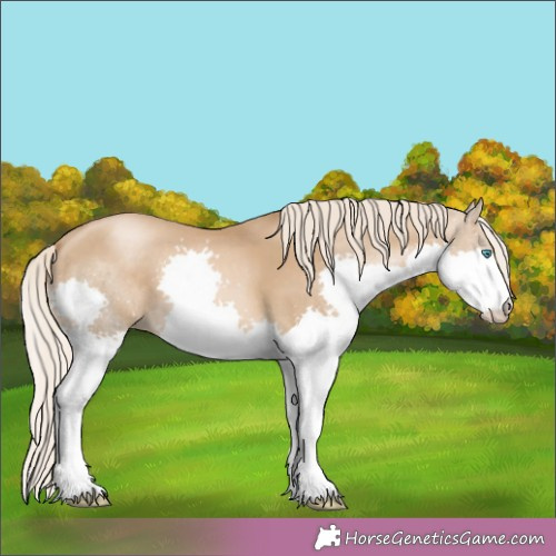 Horse Color:Chocolate Palomino Pearl Splash 
