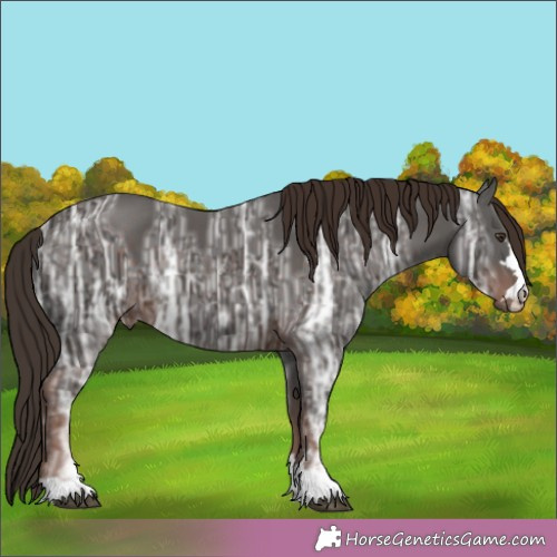 Horse Color:Liver Chestnut Ice 