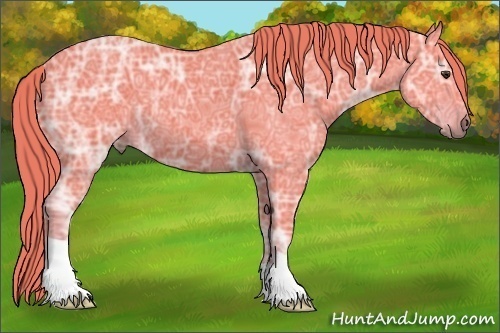 Horse Color:Watercolor Liver Chestnut Ice