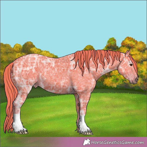 Horse Color:Watercolor Liver Chestnut Ice 