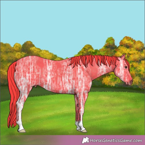 Horse Color:Watercolor Liver Chestnut Ice 