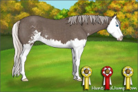 Horse Color:Silver Blue Roan Sabino Splash 