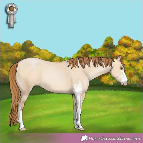 Horse Color:Bay Pearl Dun Sabino 