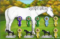 Horse Color:Cremello Appaloosa 