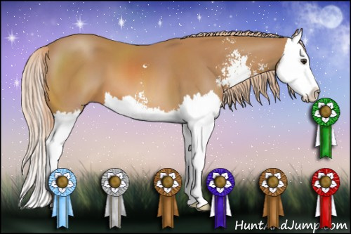 Horse Color: Chestnut Sabino Splash 