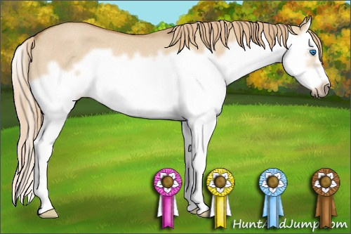 Horse Color: Red Dun Roan Splash Frame Rabicano 
