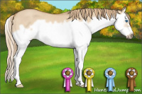 Horse Color:Red Dun Roan Splash Frame Rabicano 