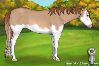 Horse Color:Red Dun Roan Splash Frame Rabicano 
