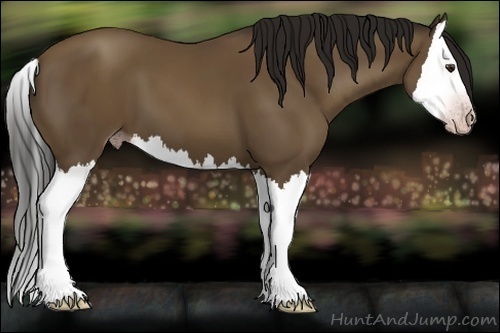 Horse Color:Gray Classic Champagne Splash