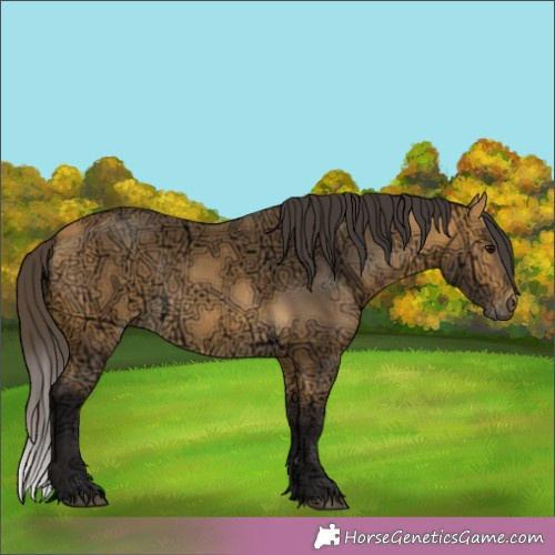 Horse Color:Buckskin Ice 