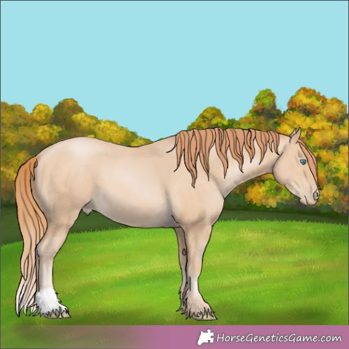 Horse Color:Buckskin Pearl 