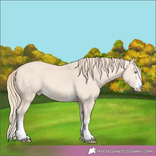 Horse Color:Perlino