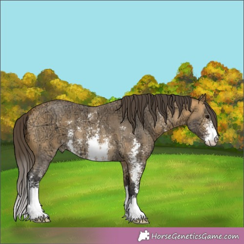 Horse Color:Buckskin Ice Sabino 