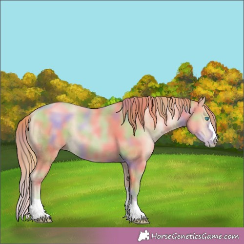 Horse Color:Nacre Buckskin Pearl 