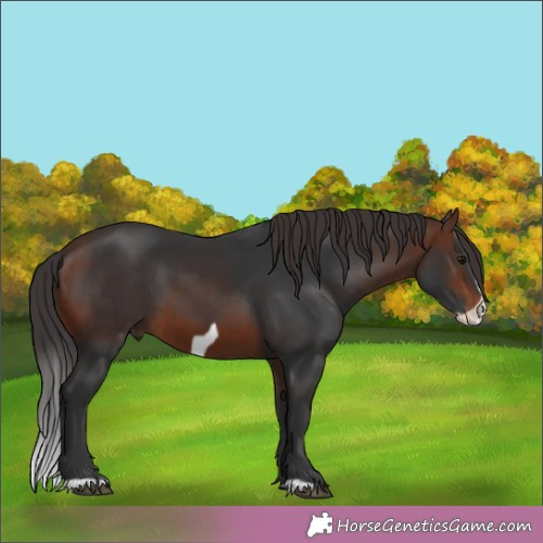 Horse Color:Brown Frame 