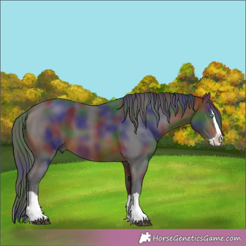 Horse Color:Nacre Brown Splash
