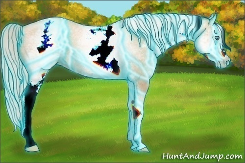 Horse Color:Gray Thunderstruck White Spotted Silver Amber Cream Champagne Roan Pearl 
