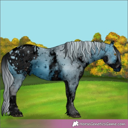 Horse Color: ERROR: UNKNOWN ANOMALY