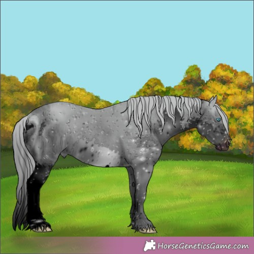 Horse Color: ERROR: UNKNOWN ANOMALY