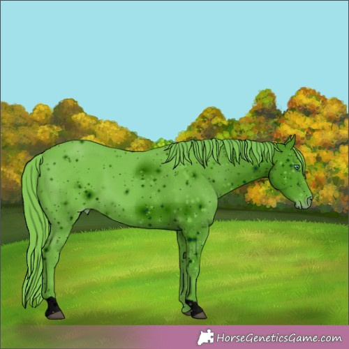 Horse Color: ERROR: UNKNOWN ANOMALY