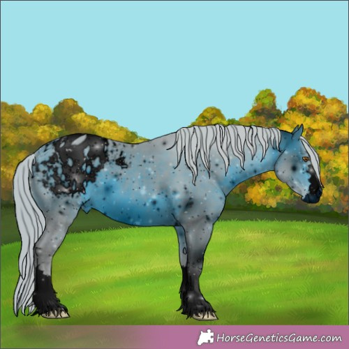 Horse Color:ERROR: UNKNOWN ANOMALY