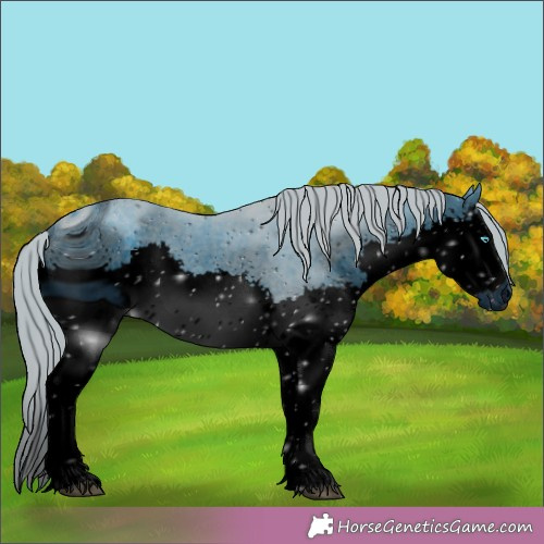 Horse Color:ERROR: UNKNOWN ANOMALY