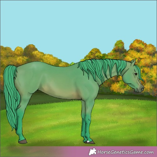 Horse Color:Watercolor Bay 