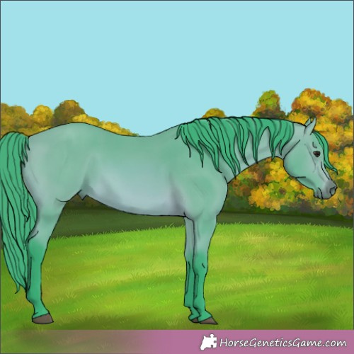 Horse Color:Watercolor Bay 