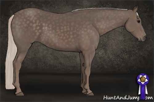 Horse Color: Silver Black 