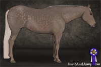 Horse Color:Silver Black 
