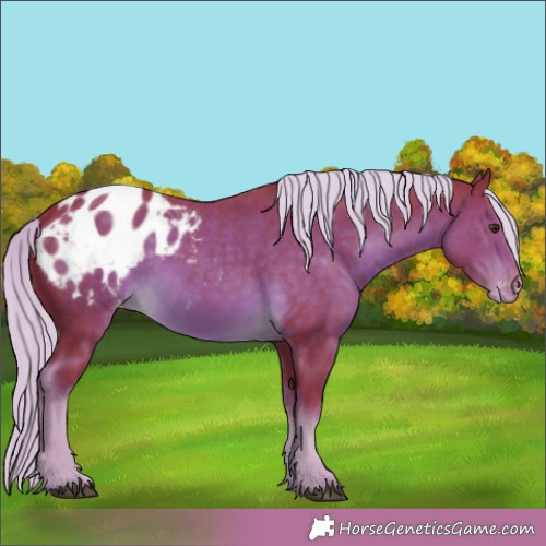 Horse Color:Watercolor Chocolate Palomino Appaloosa 