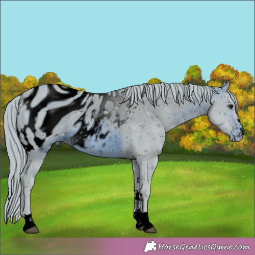 Horse Color: ERROR: UNKNOWN ANOMALY