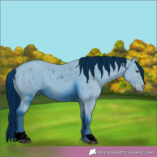 Horse Color:ERROR: UNKNOWN ANOMALY