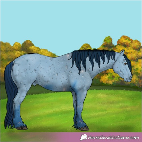 Horse Color:ERROR: UNKNOWN ANOMALY