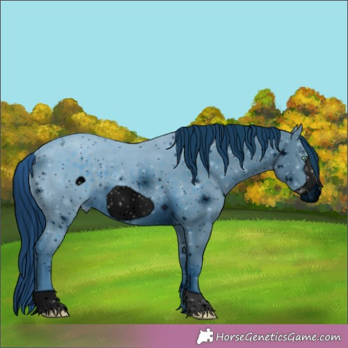 Horse Color:ERROR: UNKNOWN ANOMALY